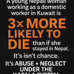 5f3e5411-7ed4-427d-98dc-c73e152f448d