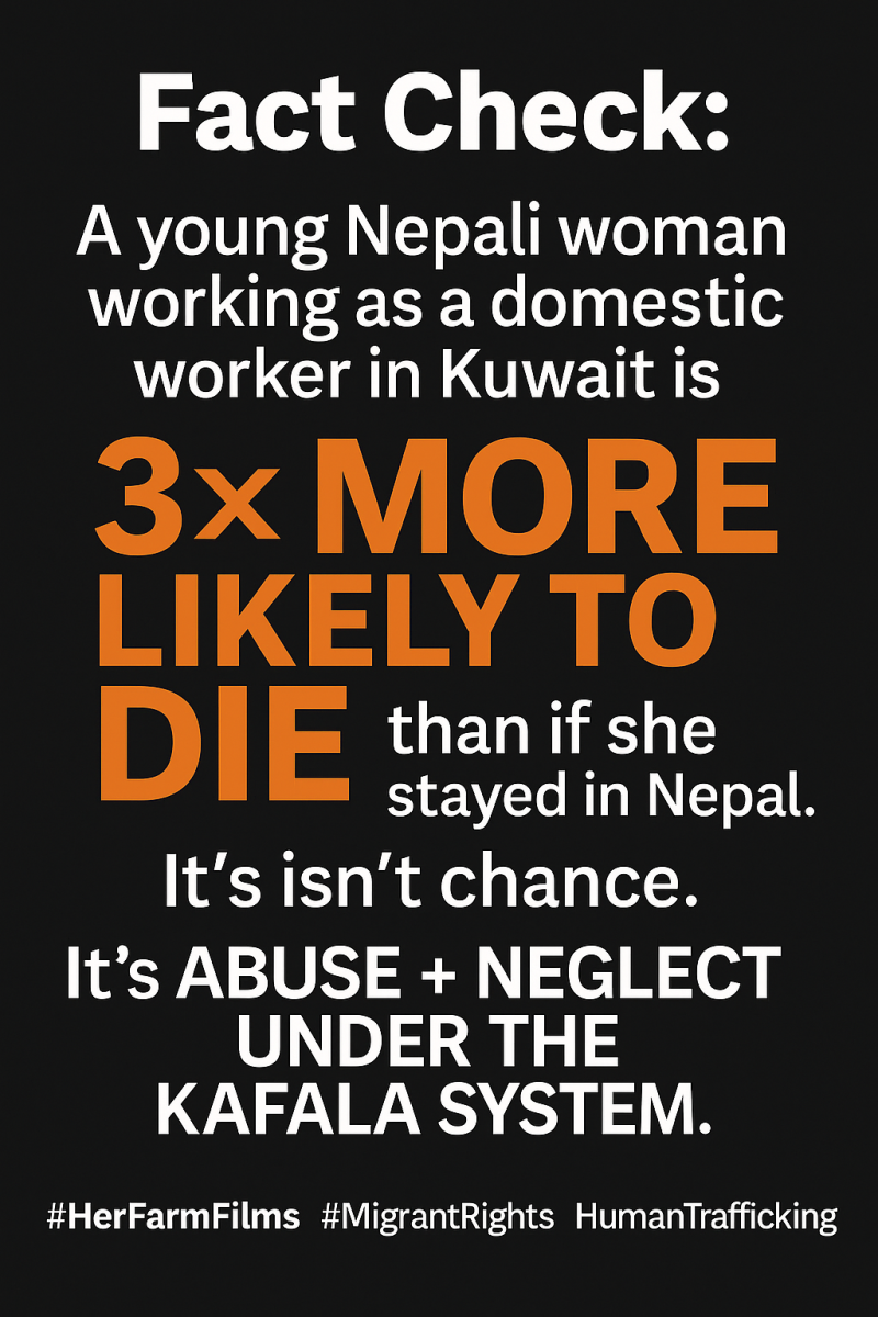 5f3e5411-7ed4-427d-98dc-c73e152f448d